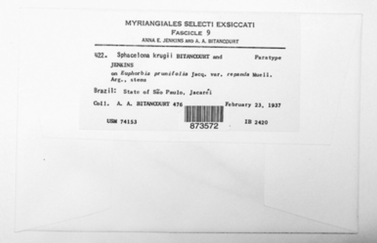 Elsinoe krugii image